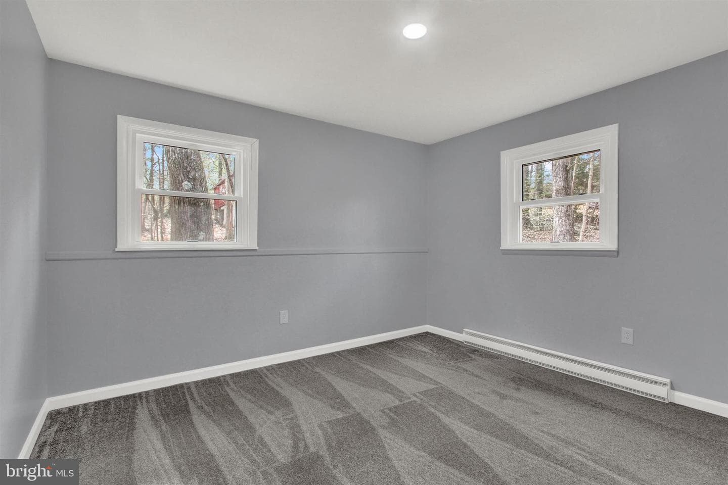 203 Pebble Lane photo 18