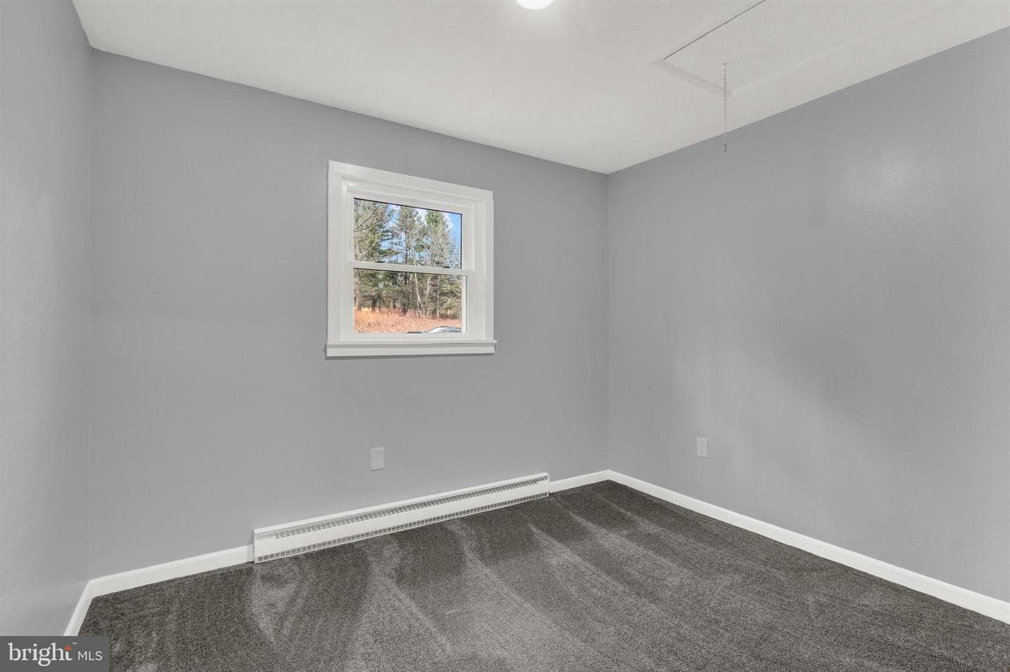 203 Pebble Lane photo 19
