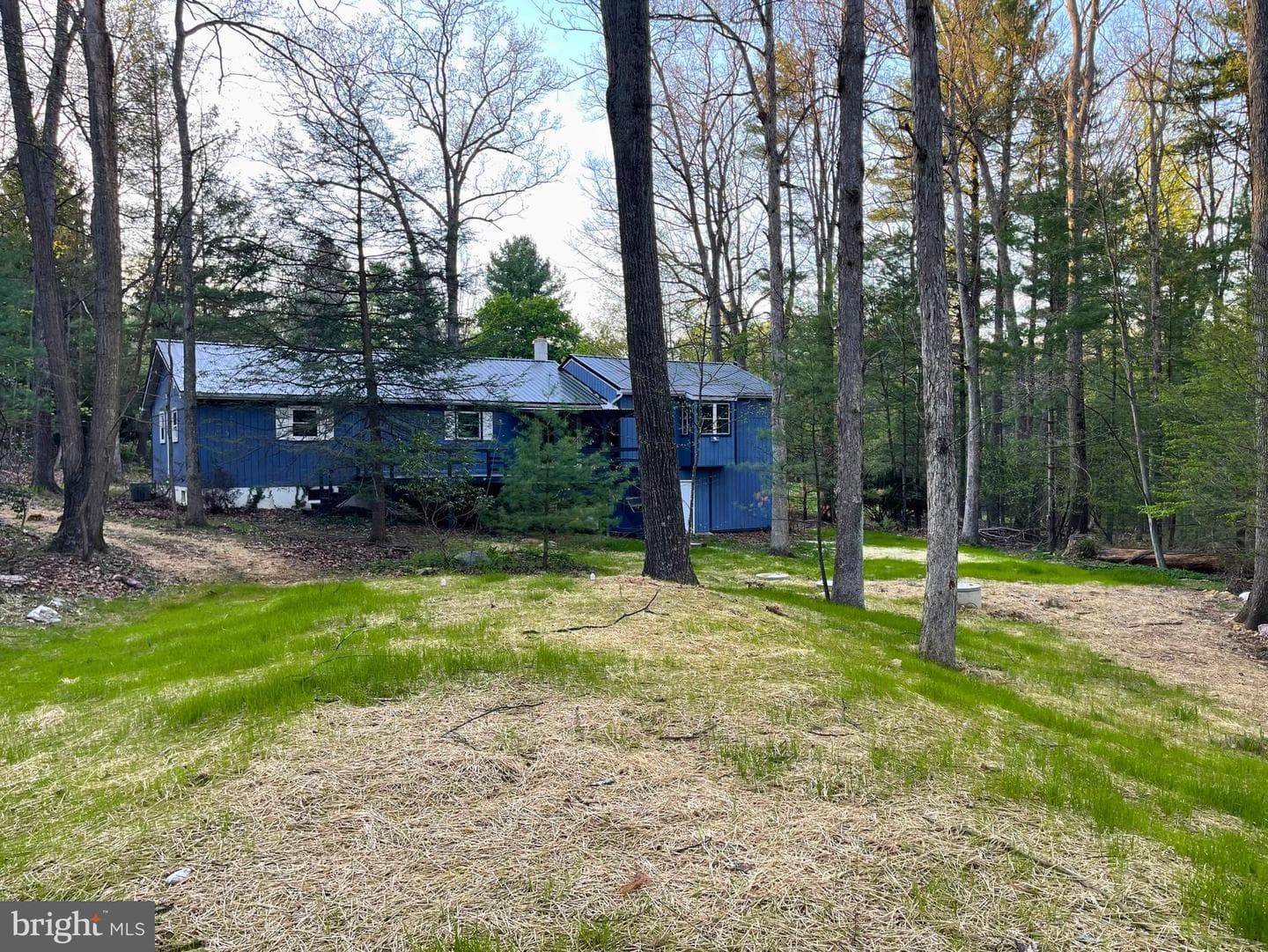 203 Pebble Lane photo 4
