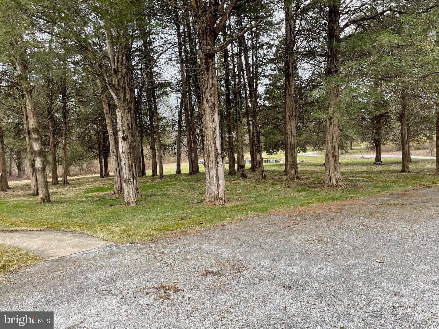 60 Ridge Road photo 33