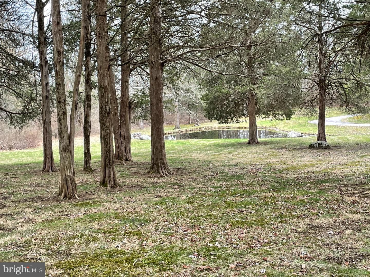 60 Ridge Road photo 38