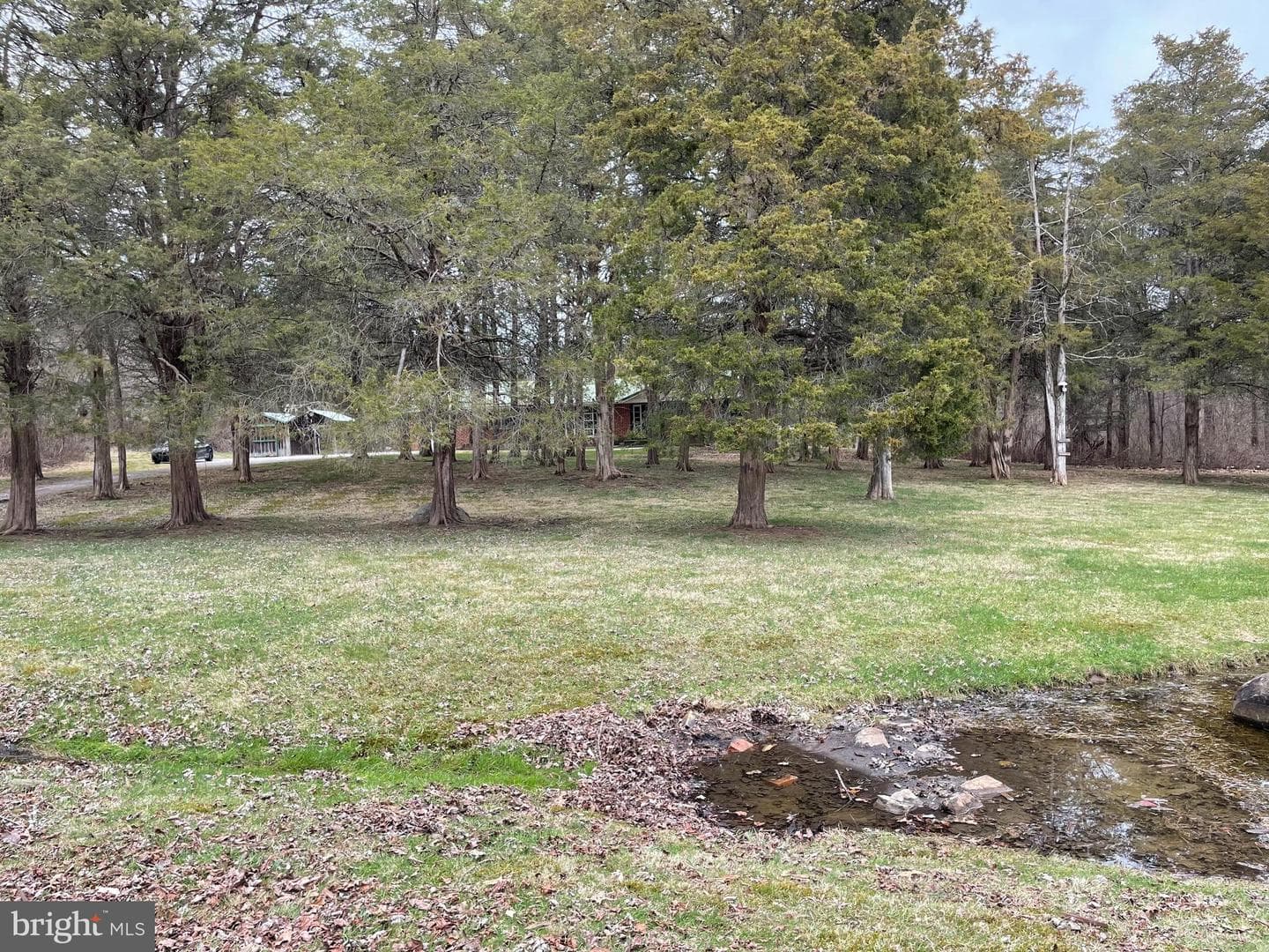 60 Ridge Road photo 7
