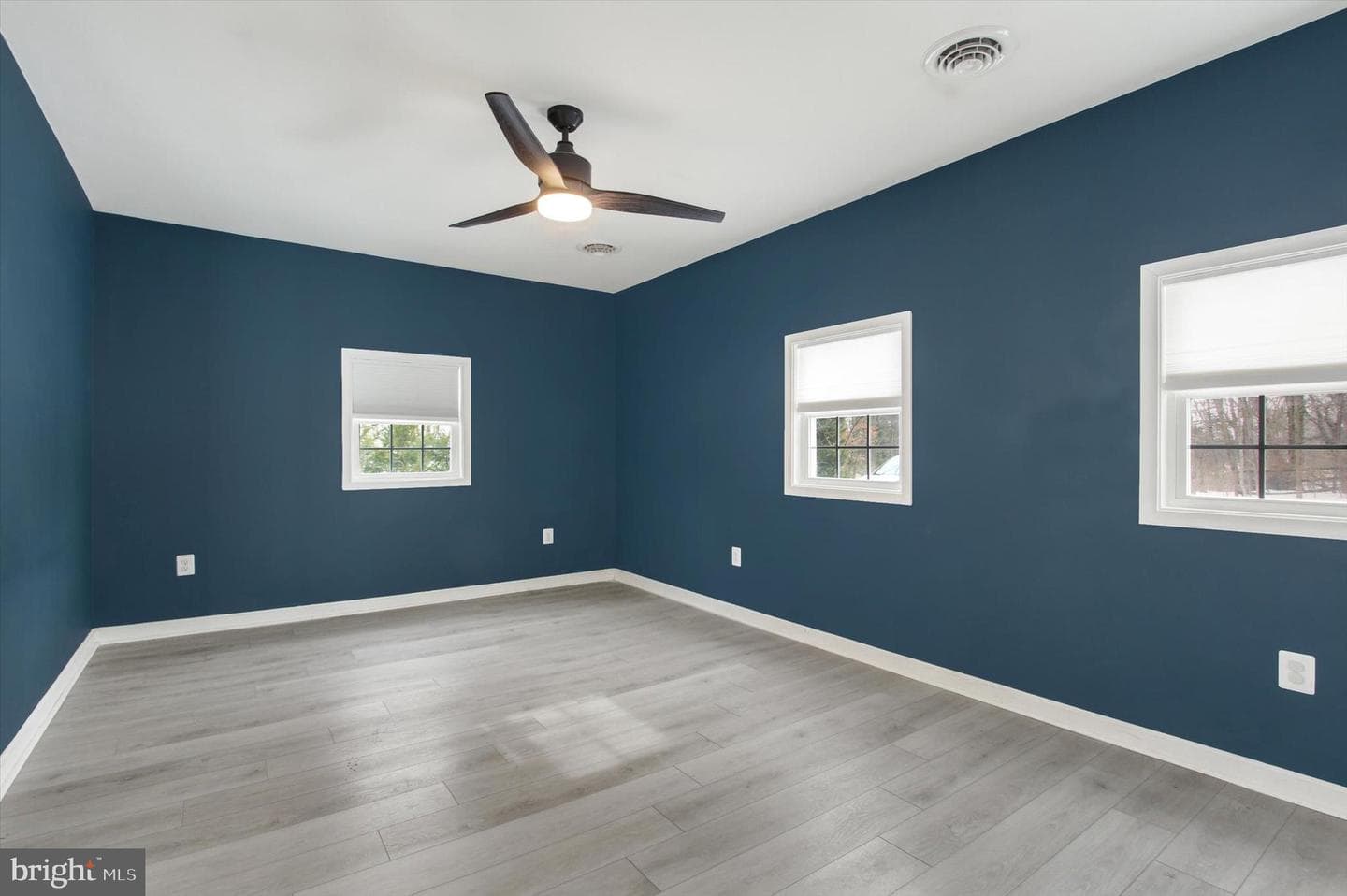 243 Forrest Drive photo 13