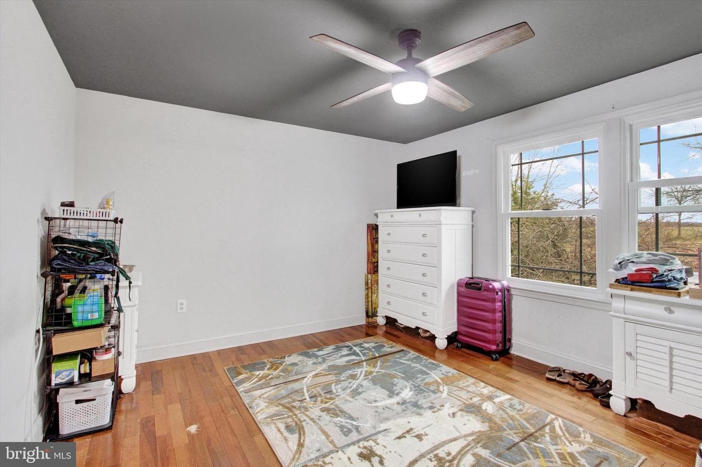 16 Sedgwick Drive photo 16