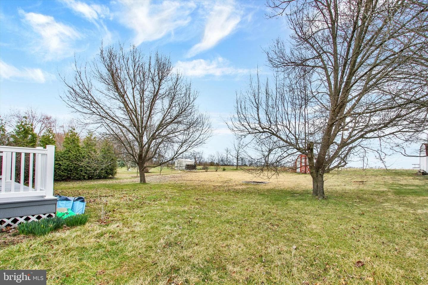 16 Sedgwick Drive photo 22