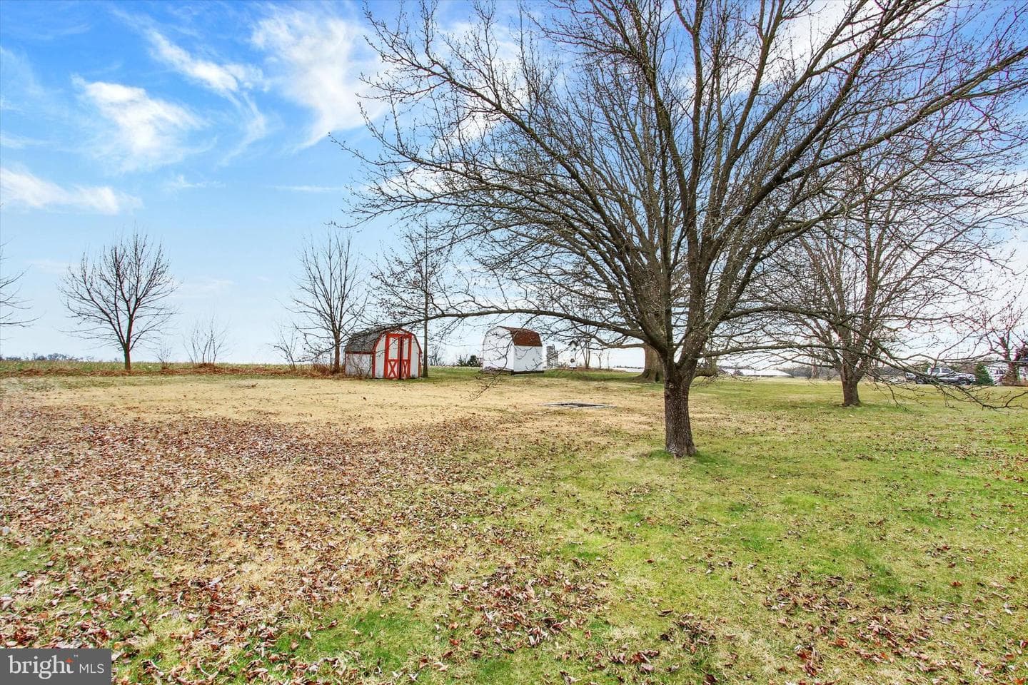 16 Sedgwick Drive photo 23