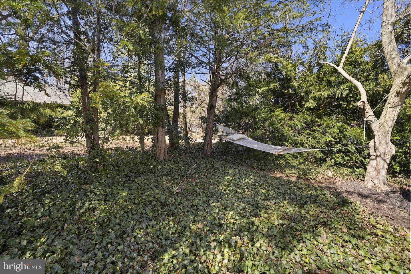125 W Broadway photo 44