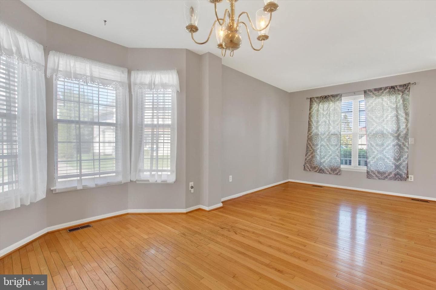 1 Dinwiddie Court photo 8
