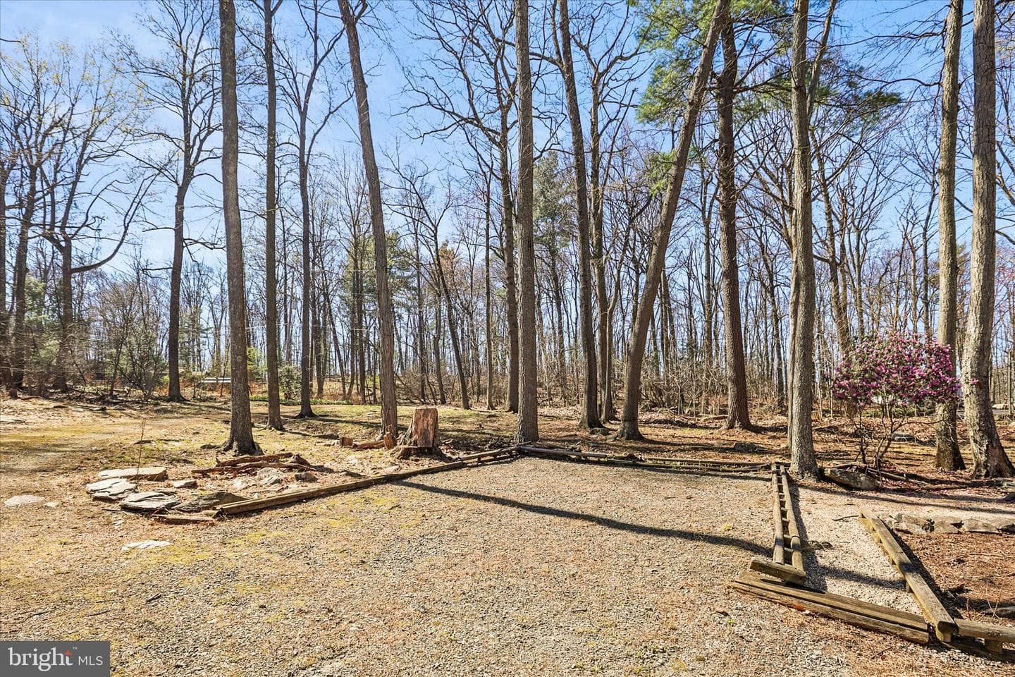120 Timber Lane photo 29