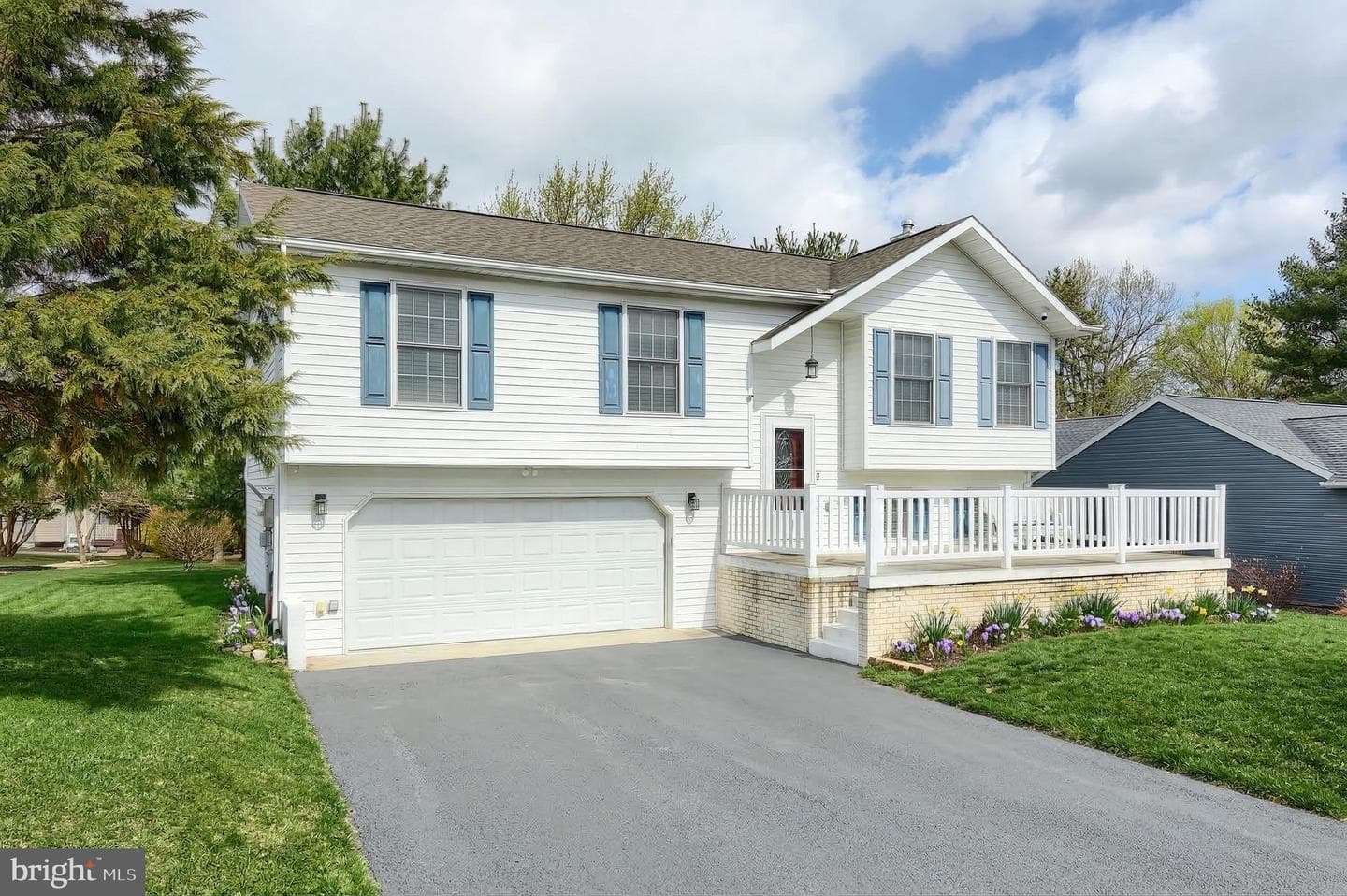 15 Sedgwick Drive photo 2