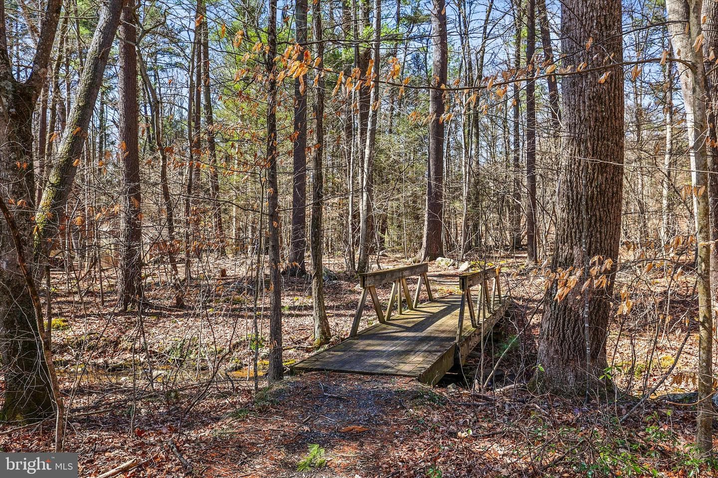 200 Boyds Hollow Road photo 42