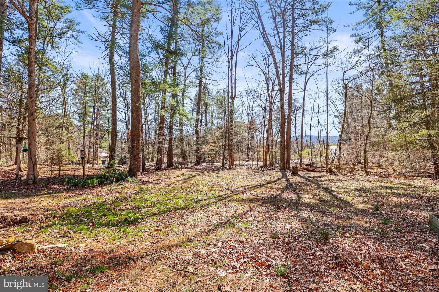 200 Boyds Hollow Road photo 45