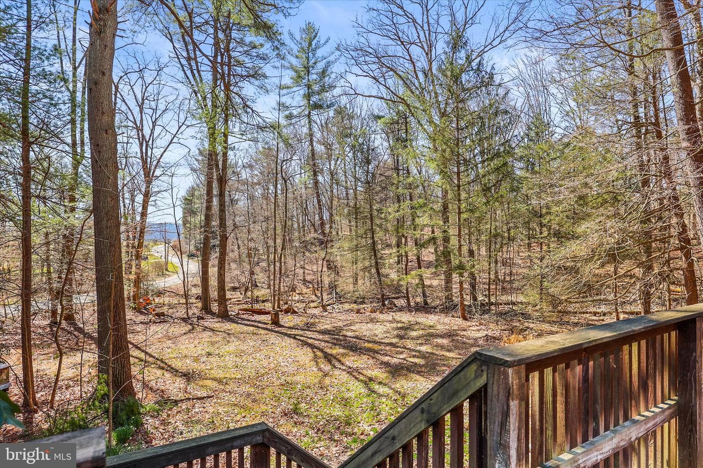 200 Boyds Hollow Road photo 53