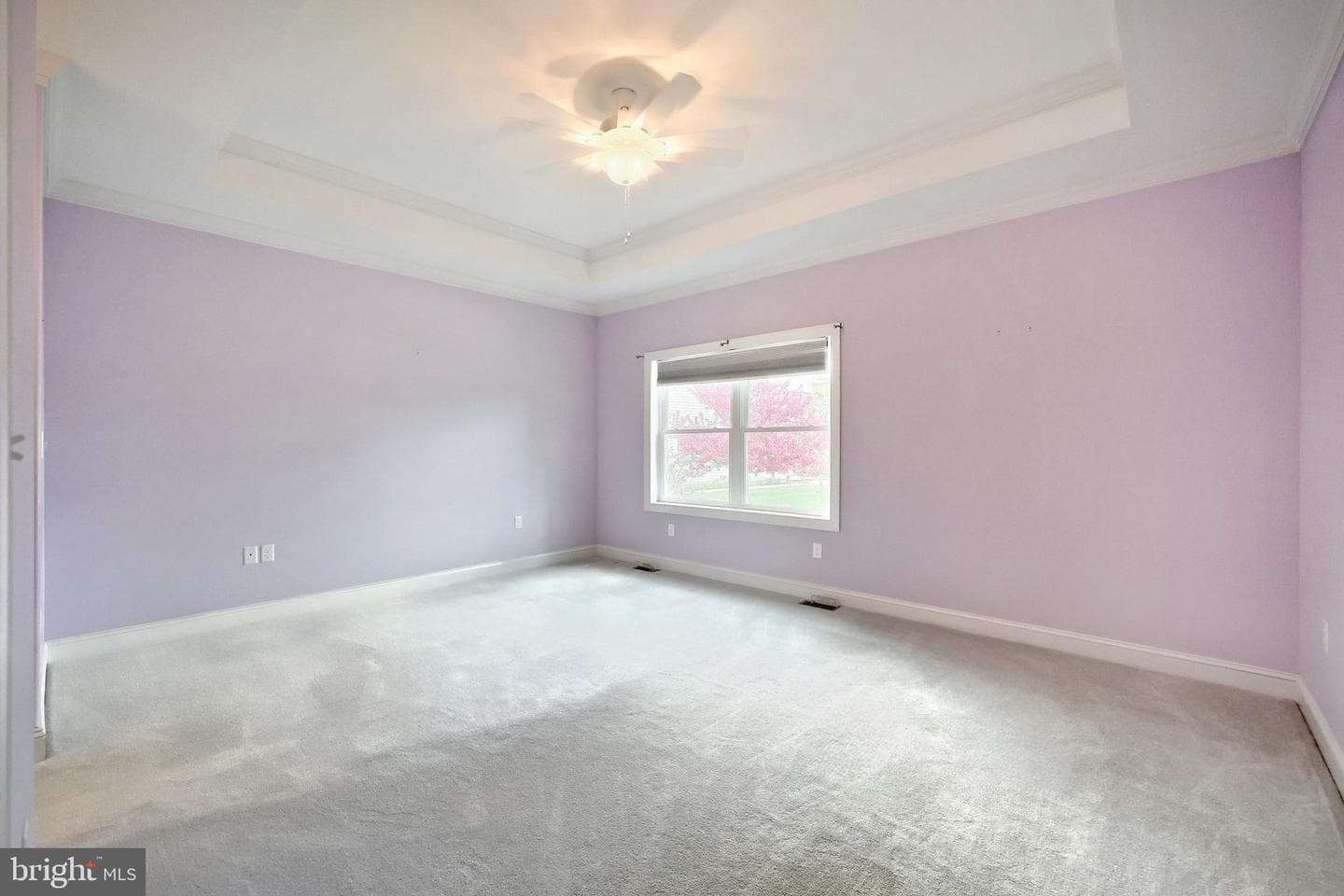 16 Hines Drive photo 46