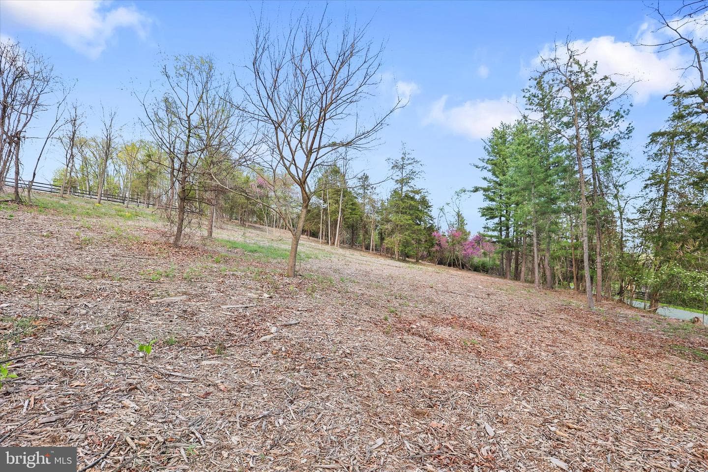 529 Mcglaughlin Road photo 61