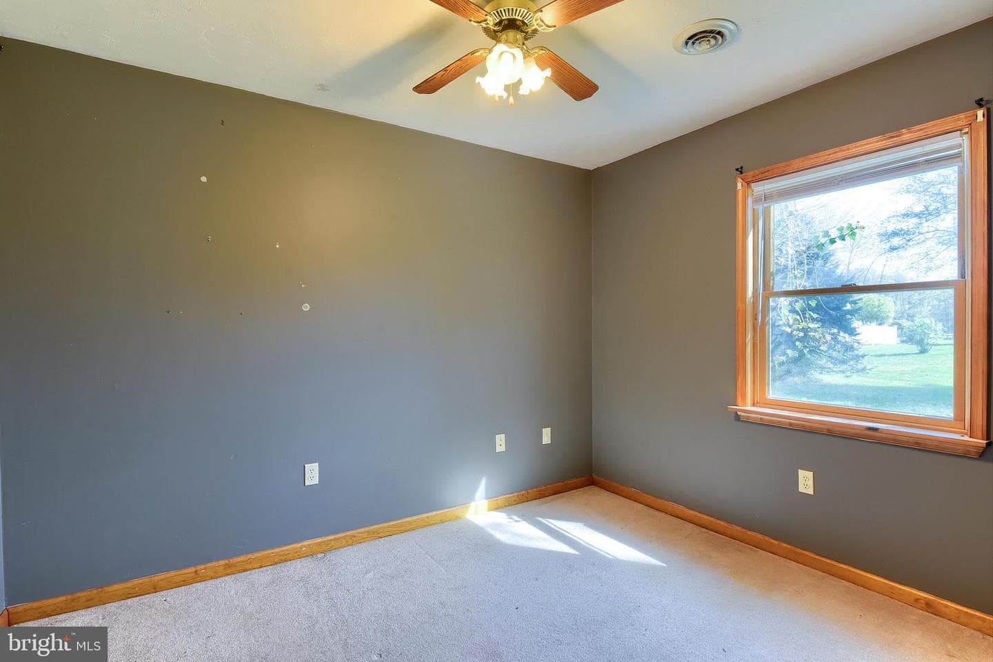 32 Chinkapin Drive photo 26