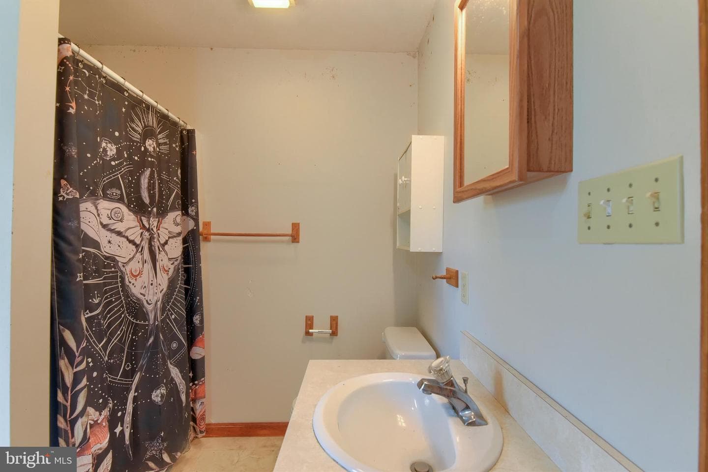 32 Chinkapin Drive photo 28