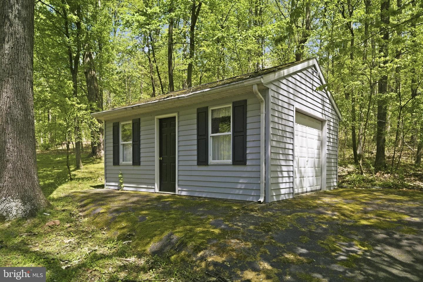 175 Carr Hill Road photo 7