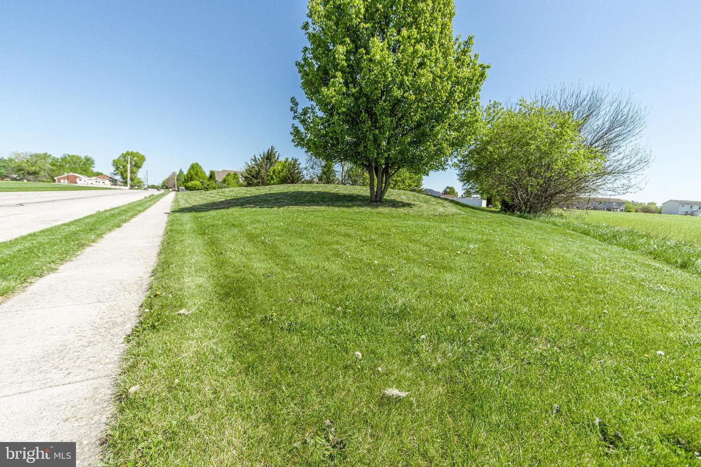 165 Lynx Drive photo 65