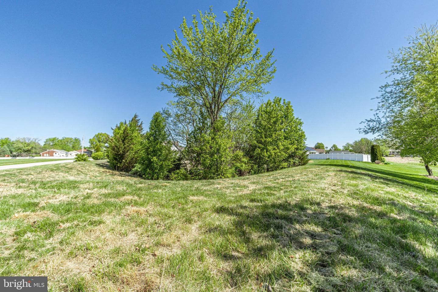 165 Lynx Drive photo 66