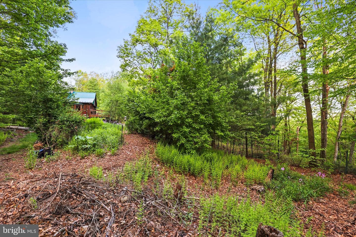 166 Woodview Road photo 26