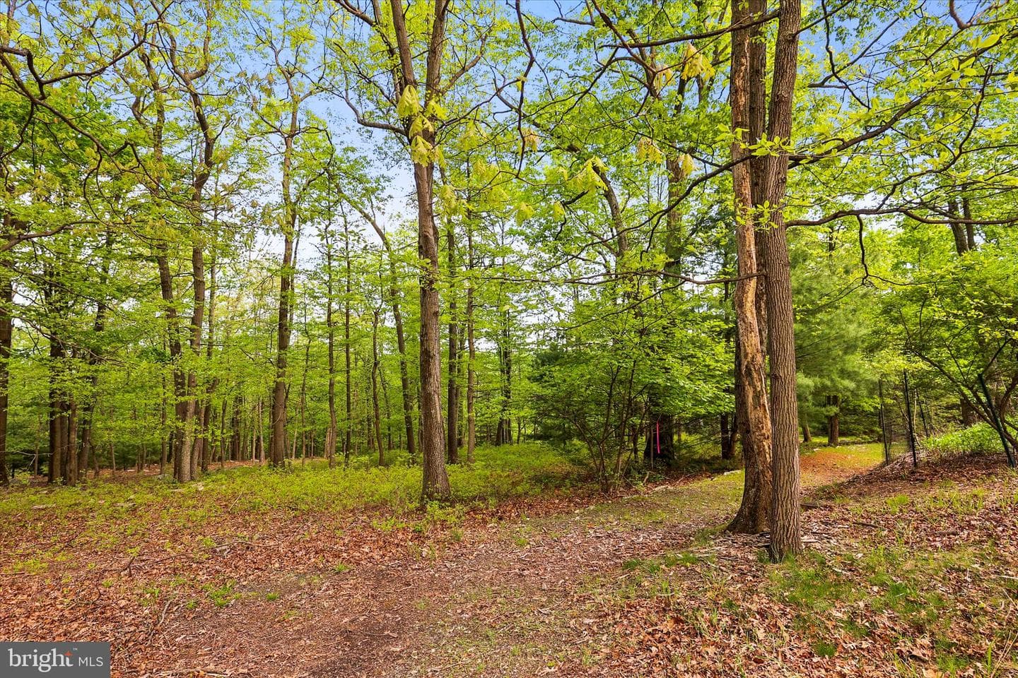 166 Woodview Road photo 60
