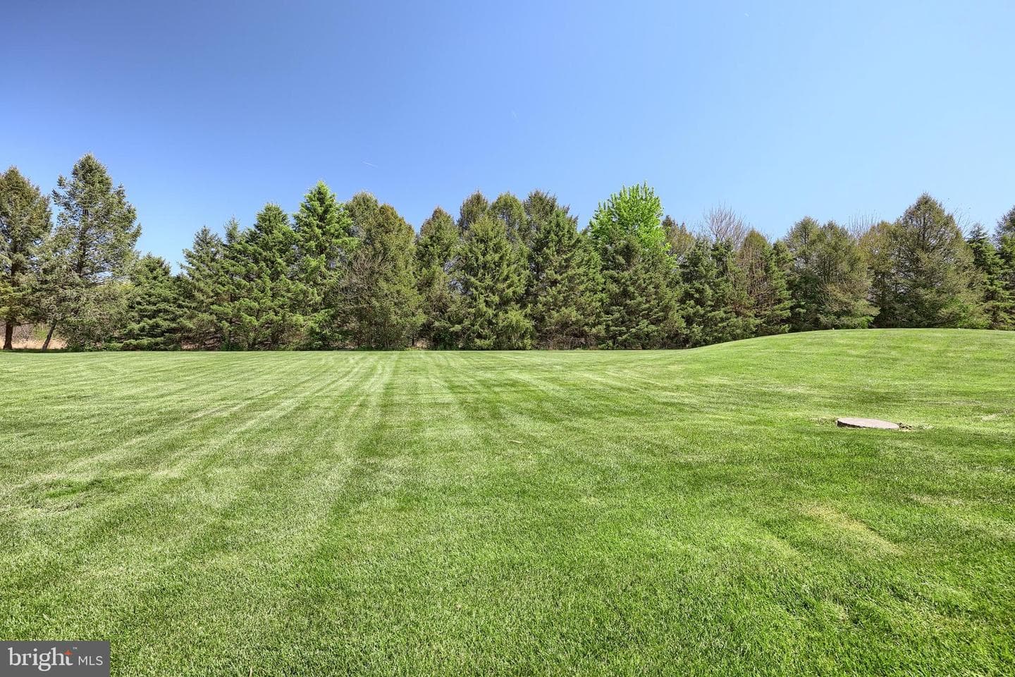 1066 Fox Run Terrace photo 13
