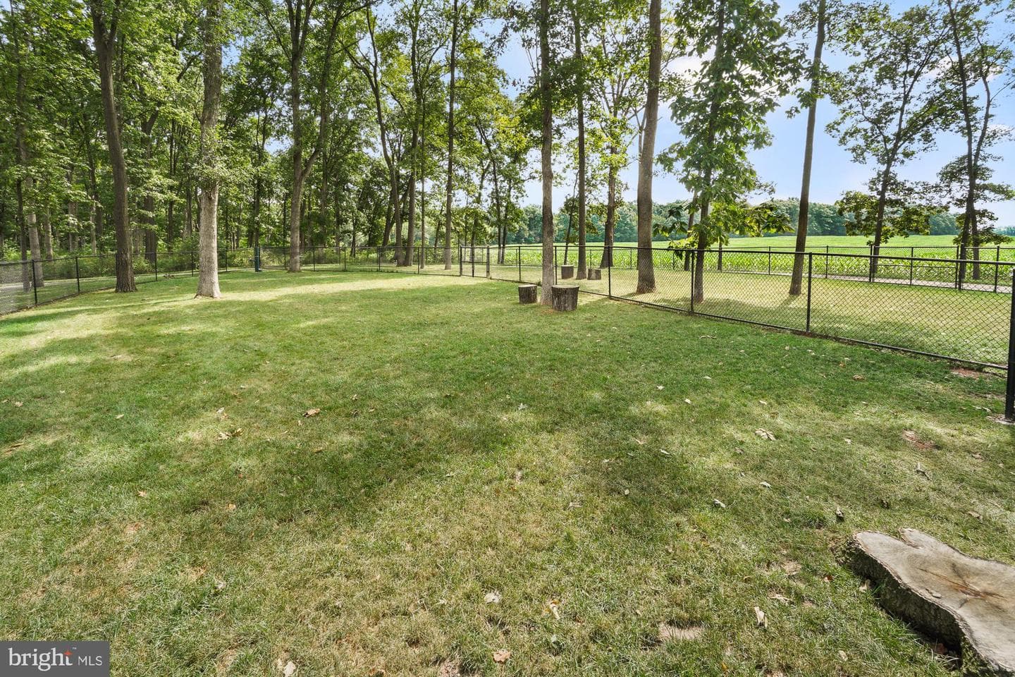 374 Lively Stream Way photo 81