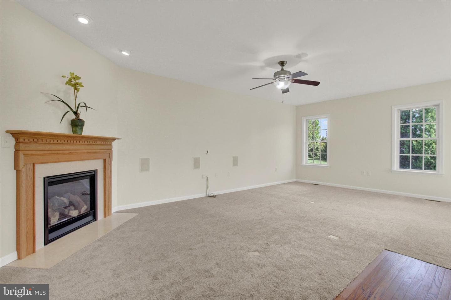 24 St Michaels Way photo 12