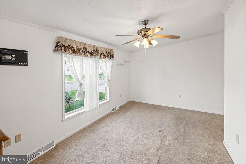 602 Pine Tree Lane photo 17
