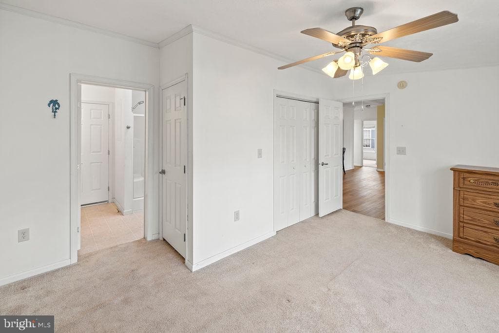 602 Pine Tree Lane photo 19
