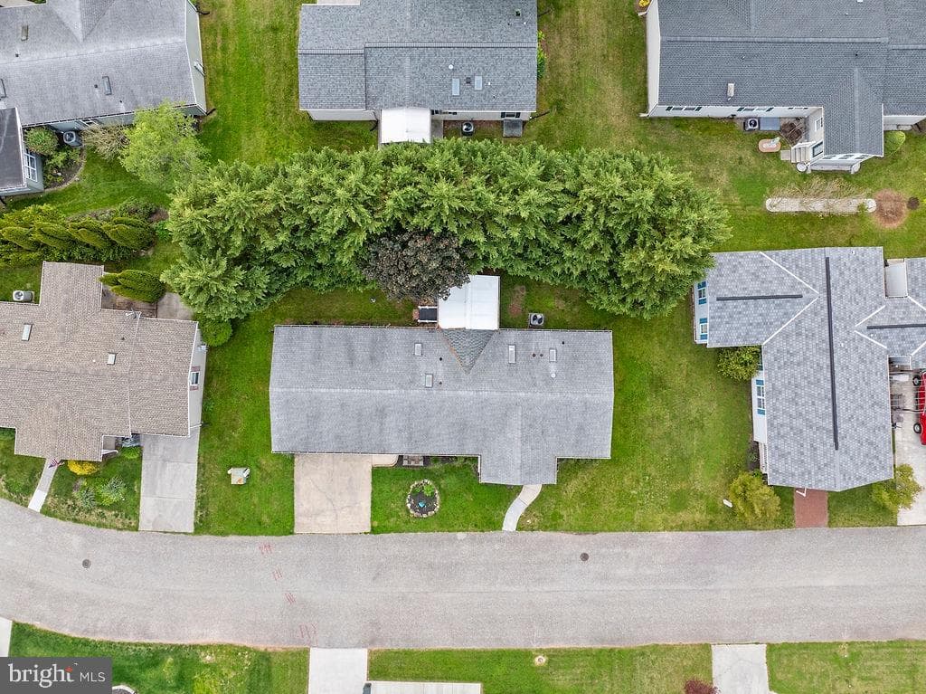 602 Pine Tree Lane photo 30