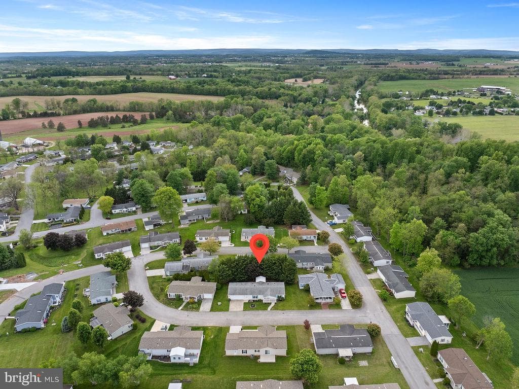 602 Pine Tree Lane photo 33