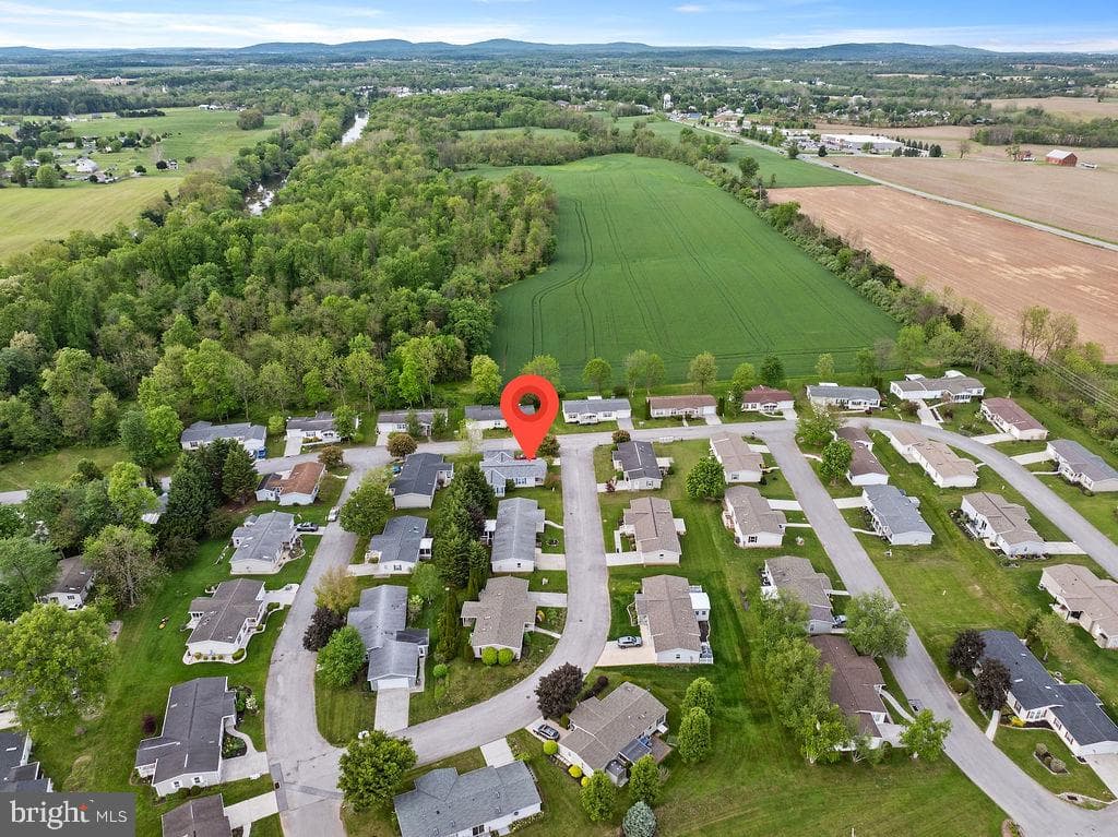 602 Pine Tree Lane photo 42