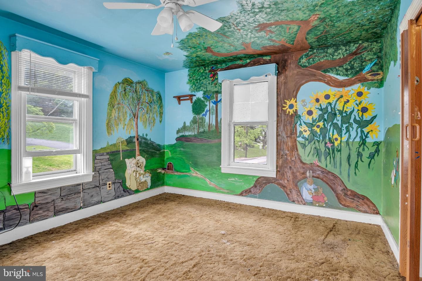 151 Park Street photo 21