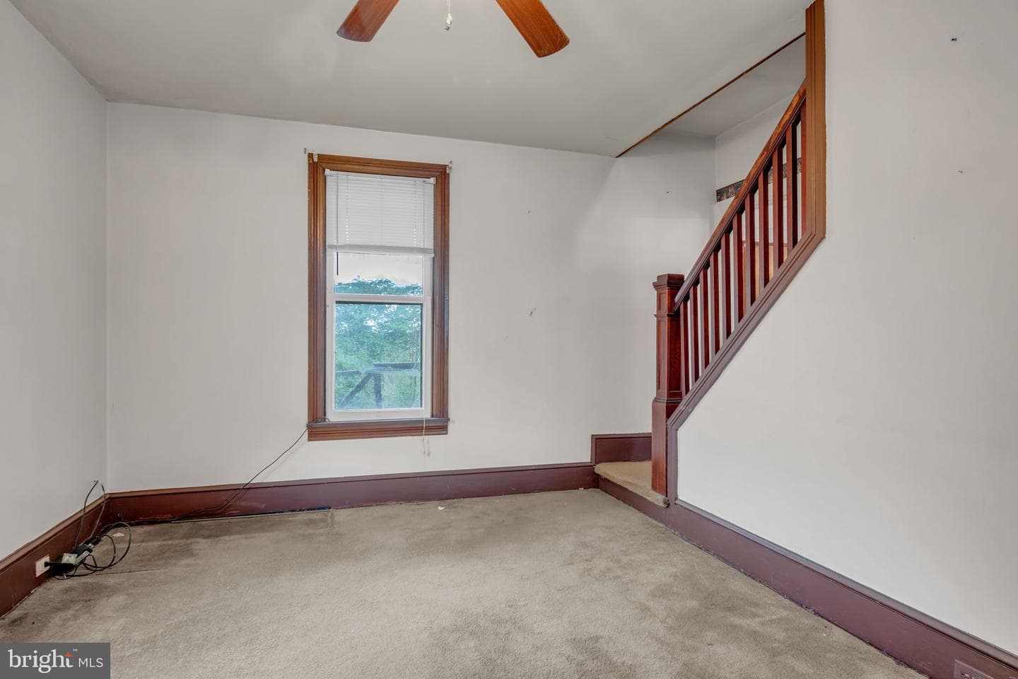 151 Park Street photo 4