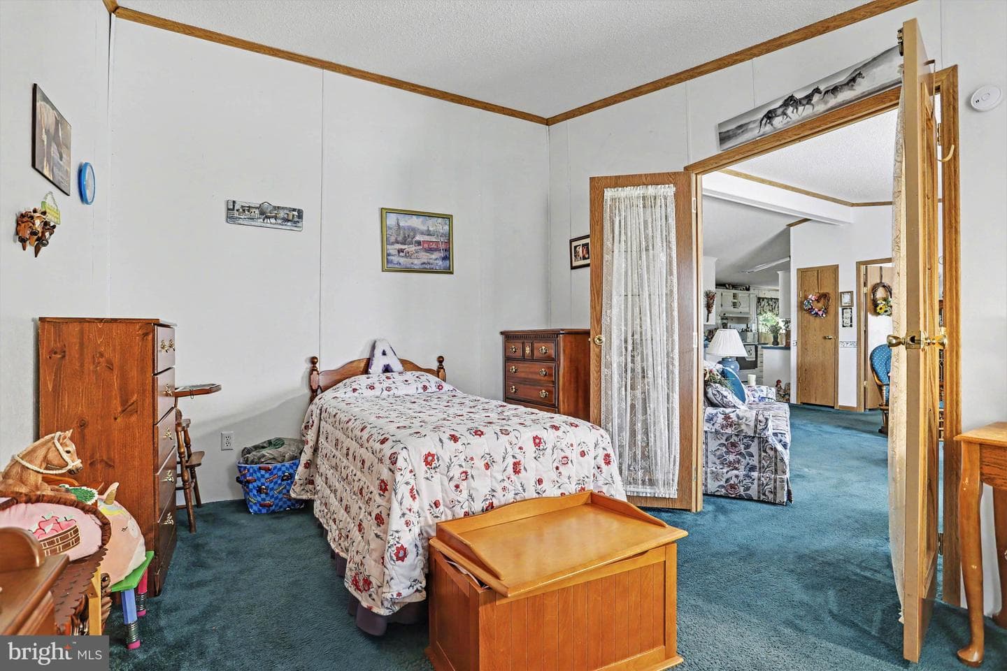 117 Frog Pond Hollow photo 16