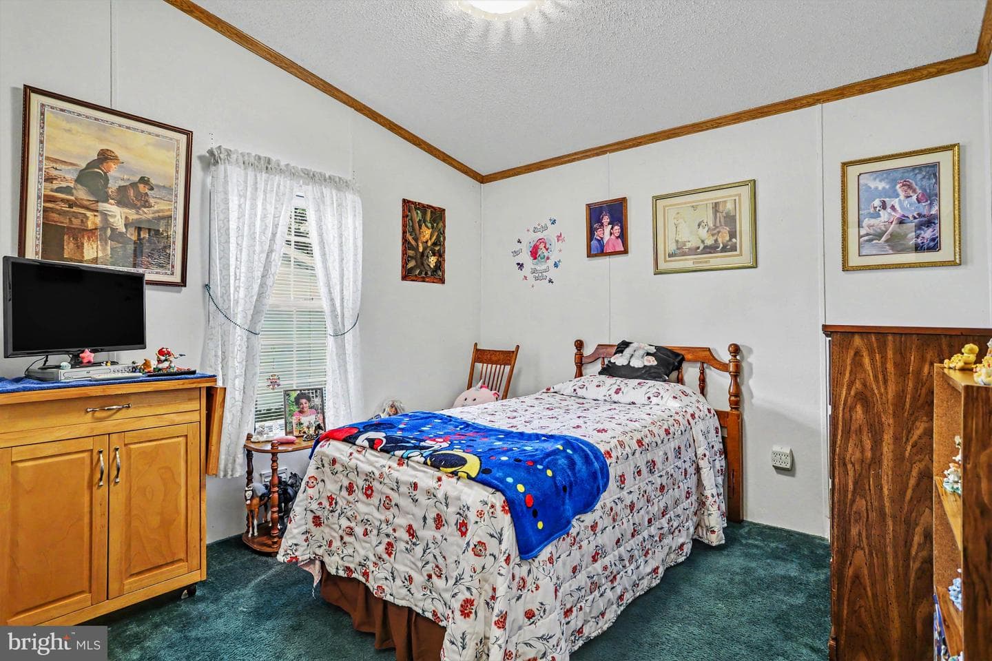 117 Frog Pond Hollow photo 17