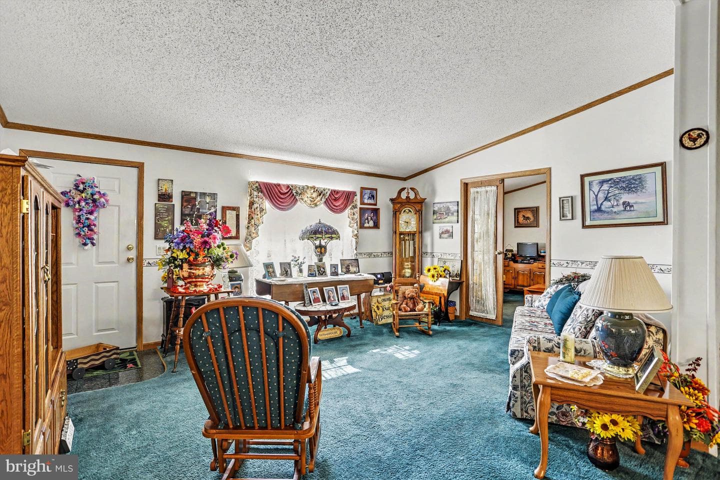 117 Frog Pond Hollow photo 6