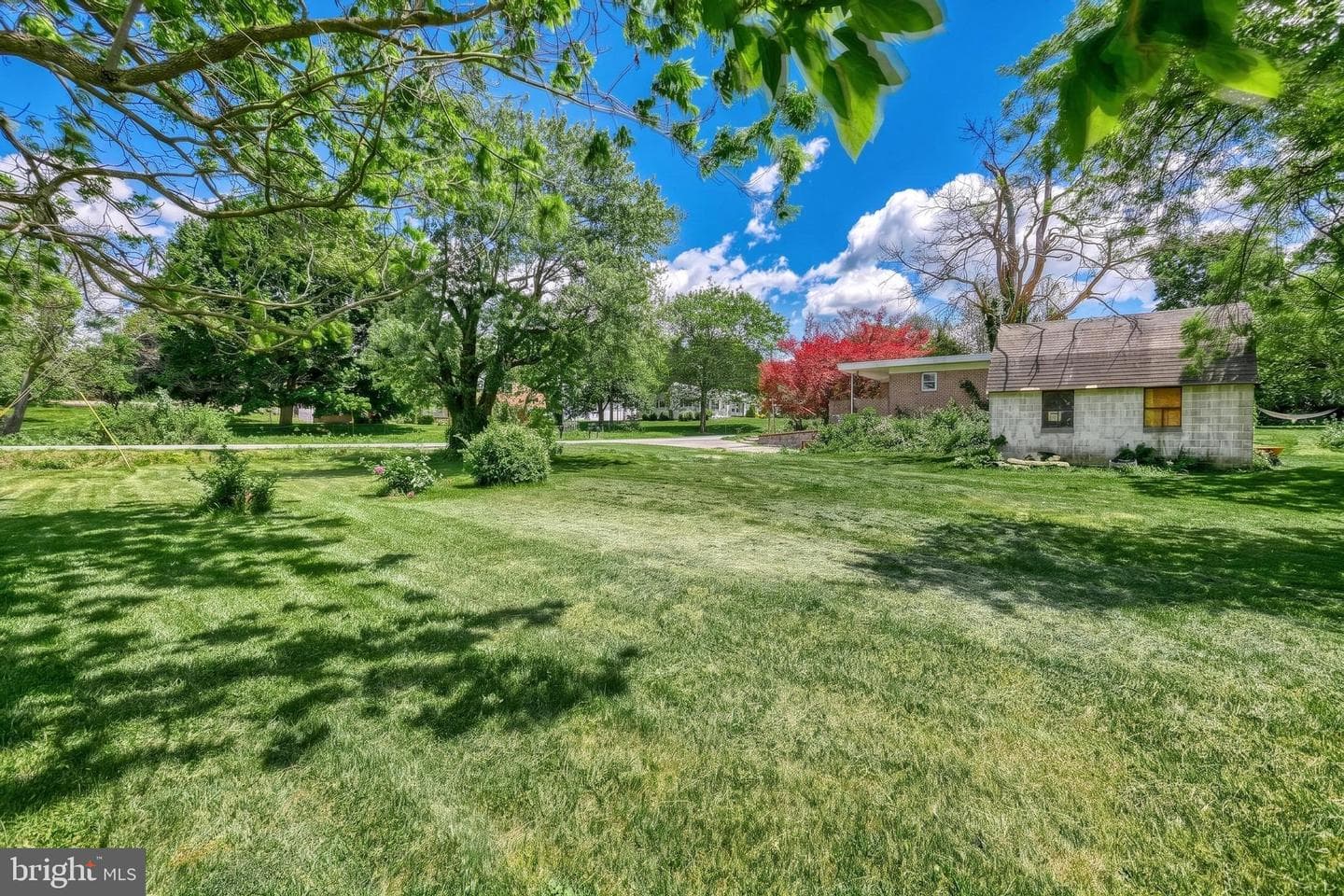 9 Pine Grove Road photo 33