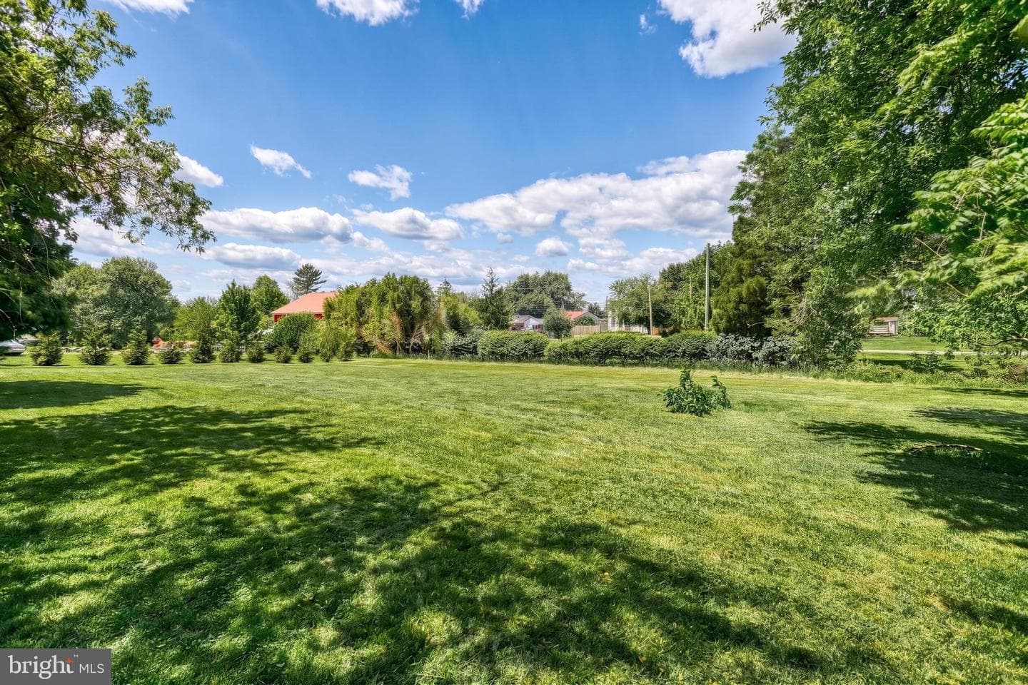 9 Pine Grove Road photo 34