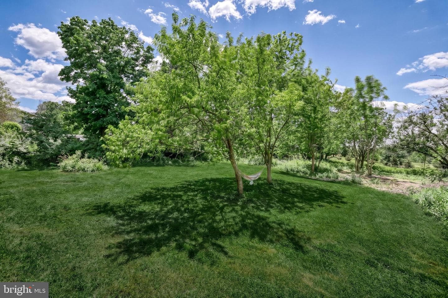 9 Pine Grove Road photo 36