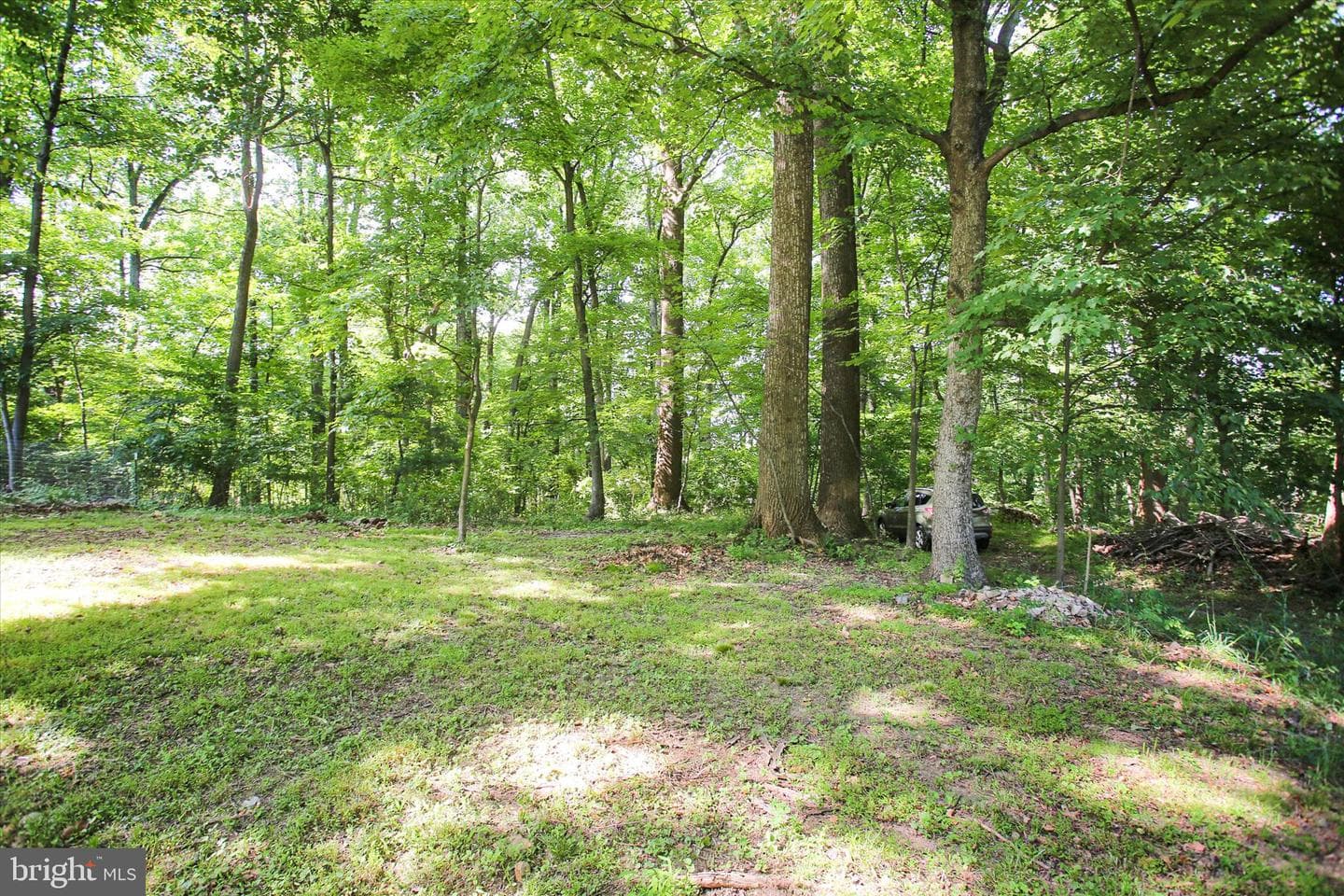 9 Wren Trail photo 40