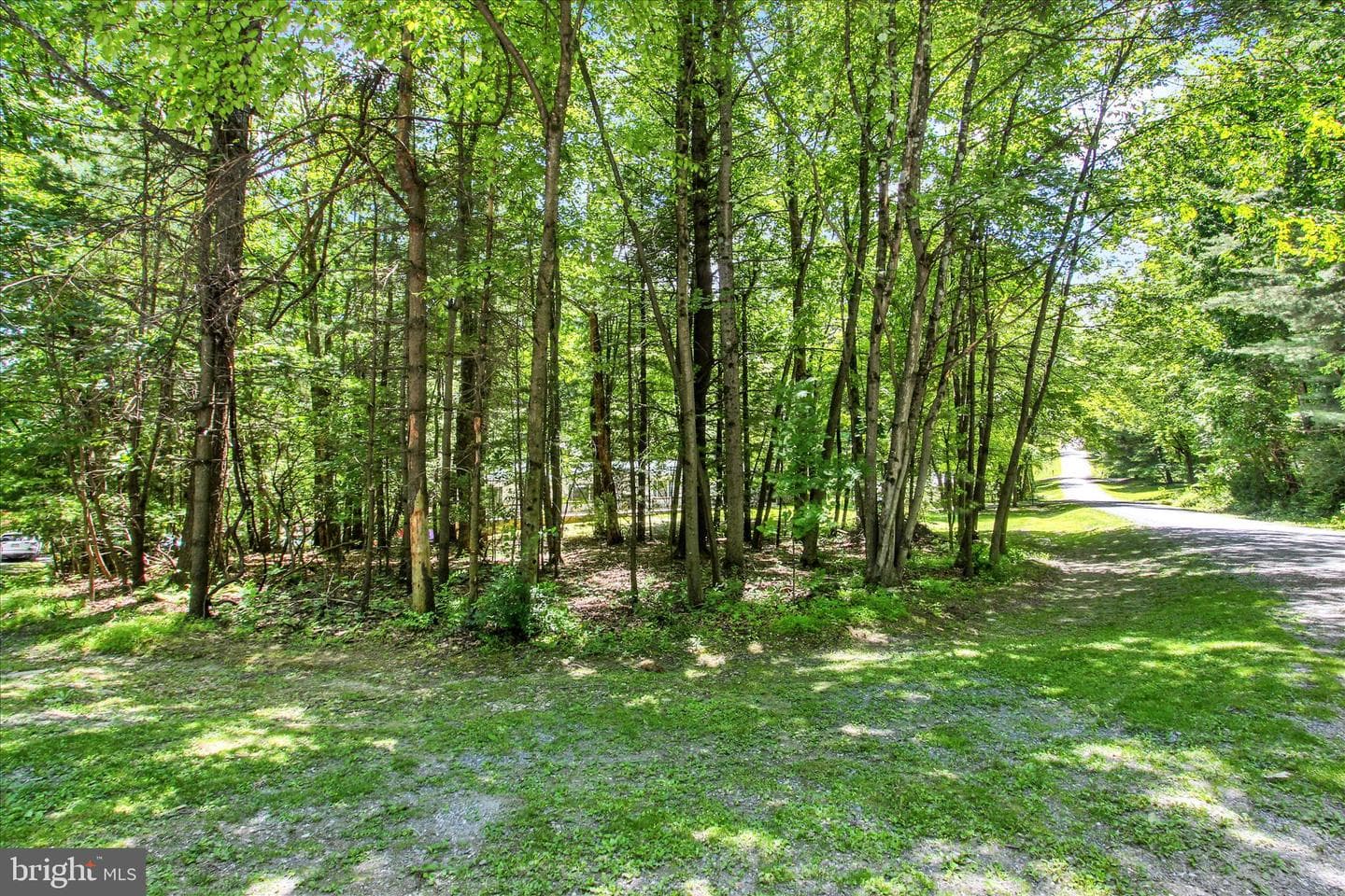 165 Oak Drive photo 23