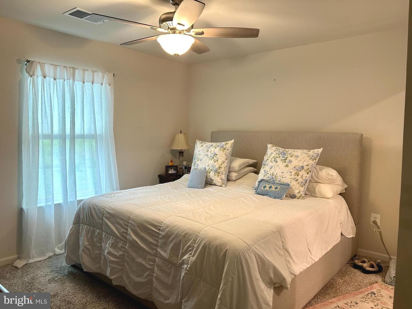 82 Ledger Drive photo 8
