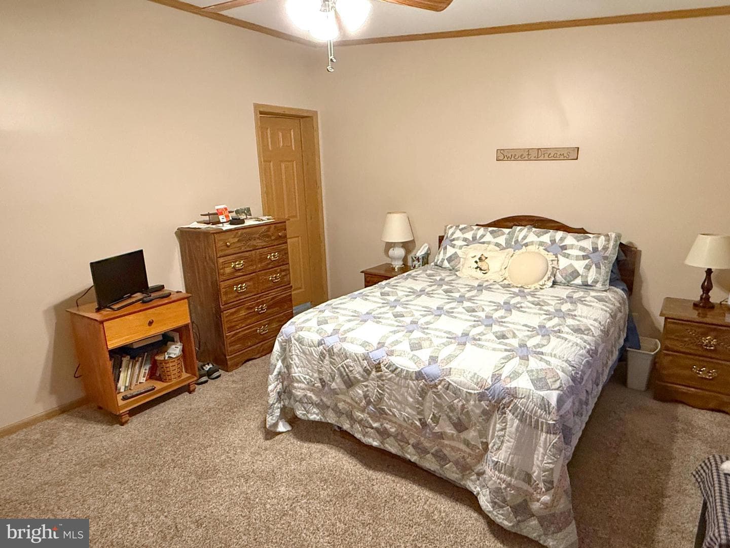 115 Raptor Drive photo 14