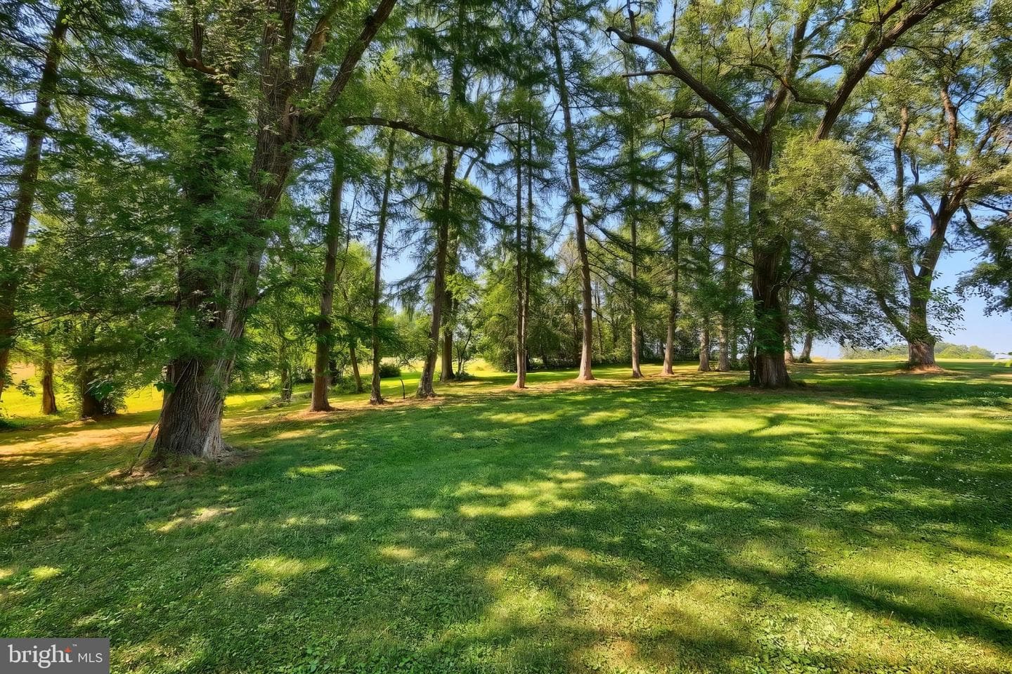 25 John Edward Drive photo 74
