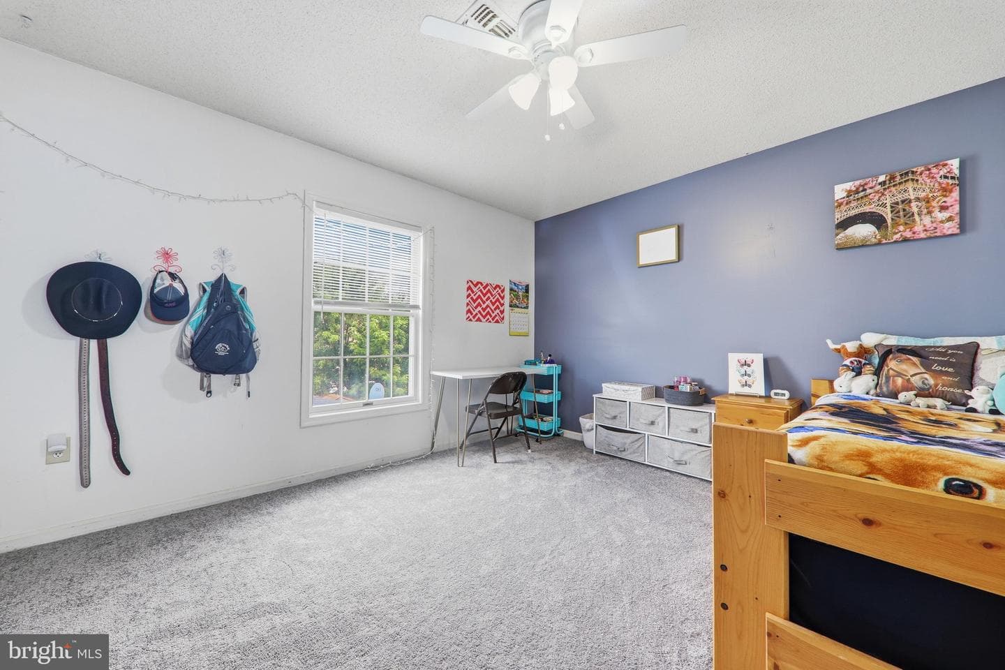 16 E Lakeview Drive photo 16