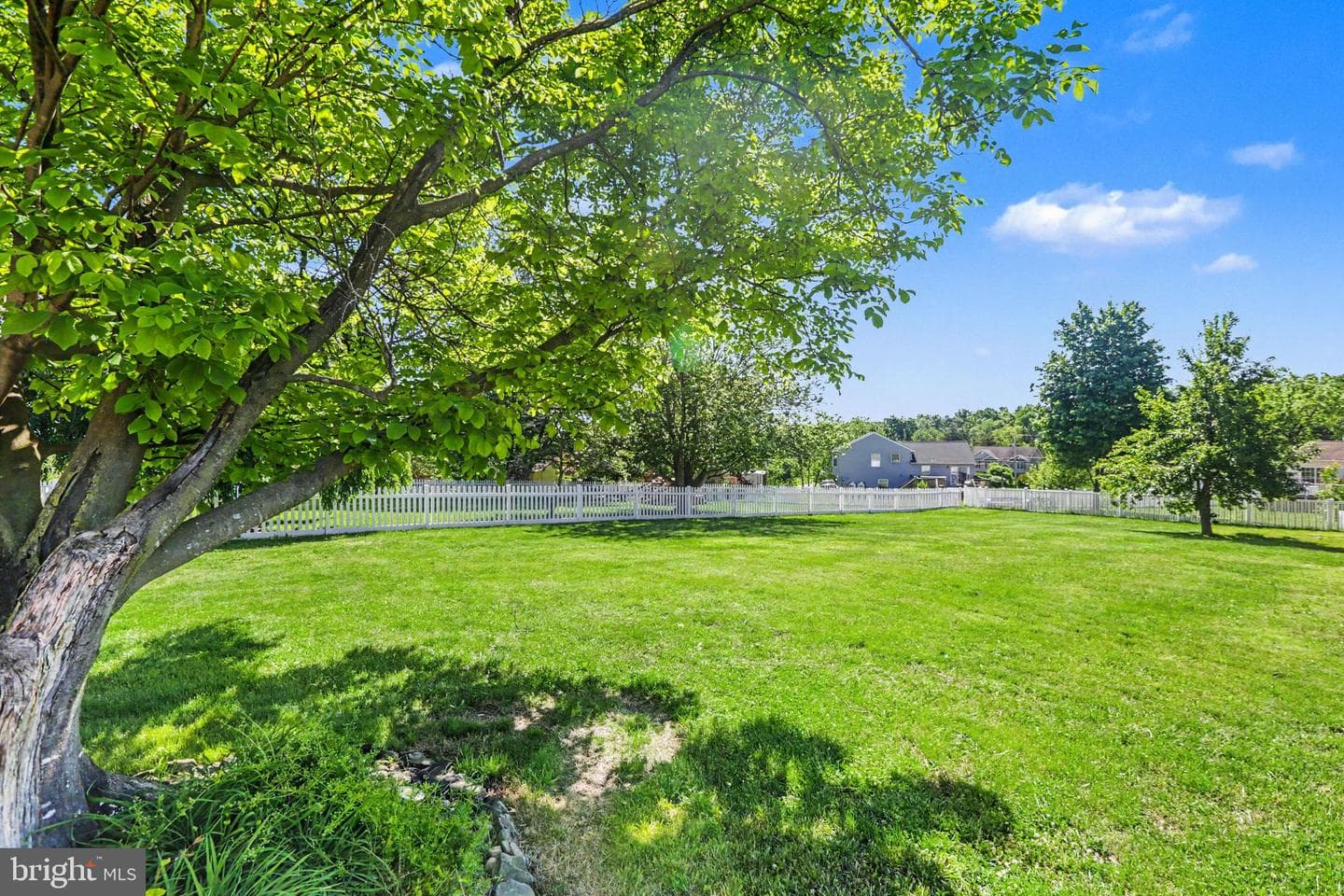 13 Ewell Drive photo 41