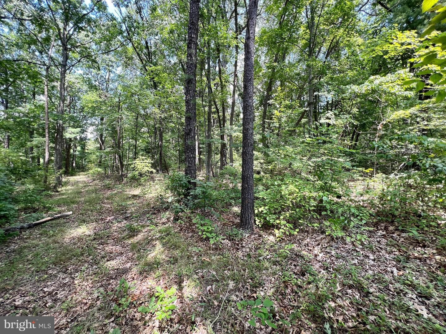 1188 E Graceville Road photo 34
